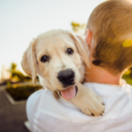What to Consider When Getting a New Puppy