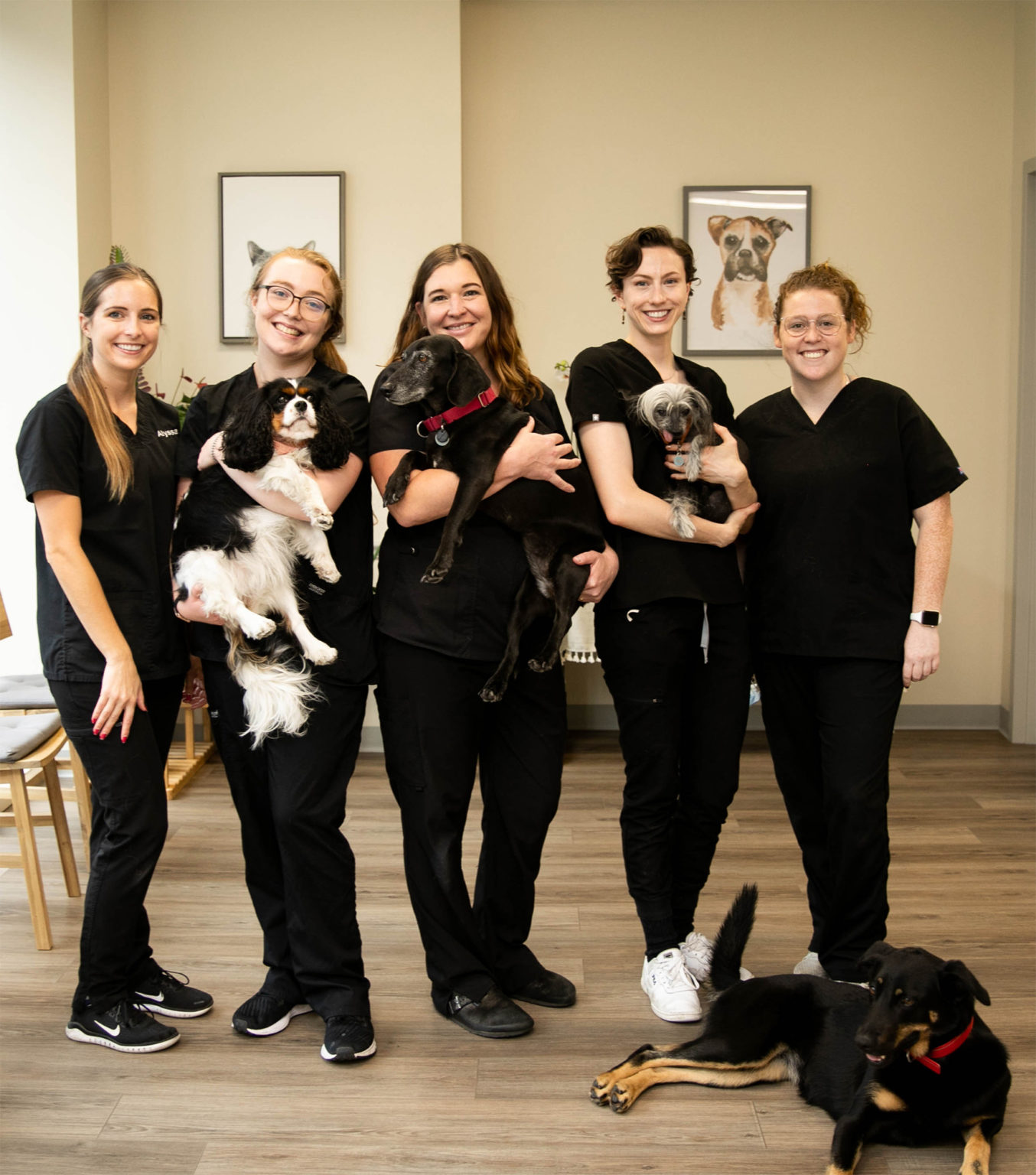 About Our Philadelphia Veterinary Clinic Indy Vet Care