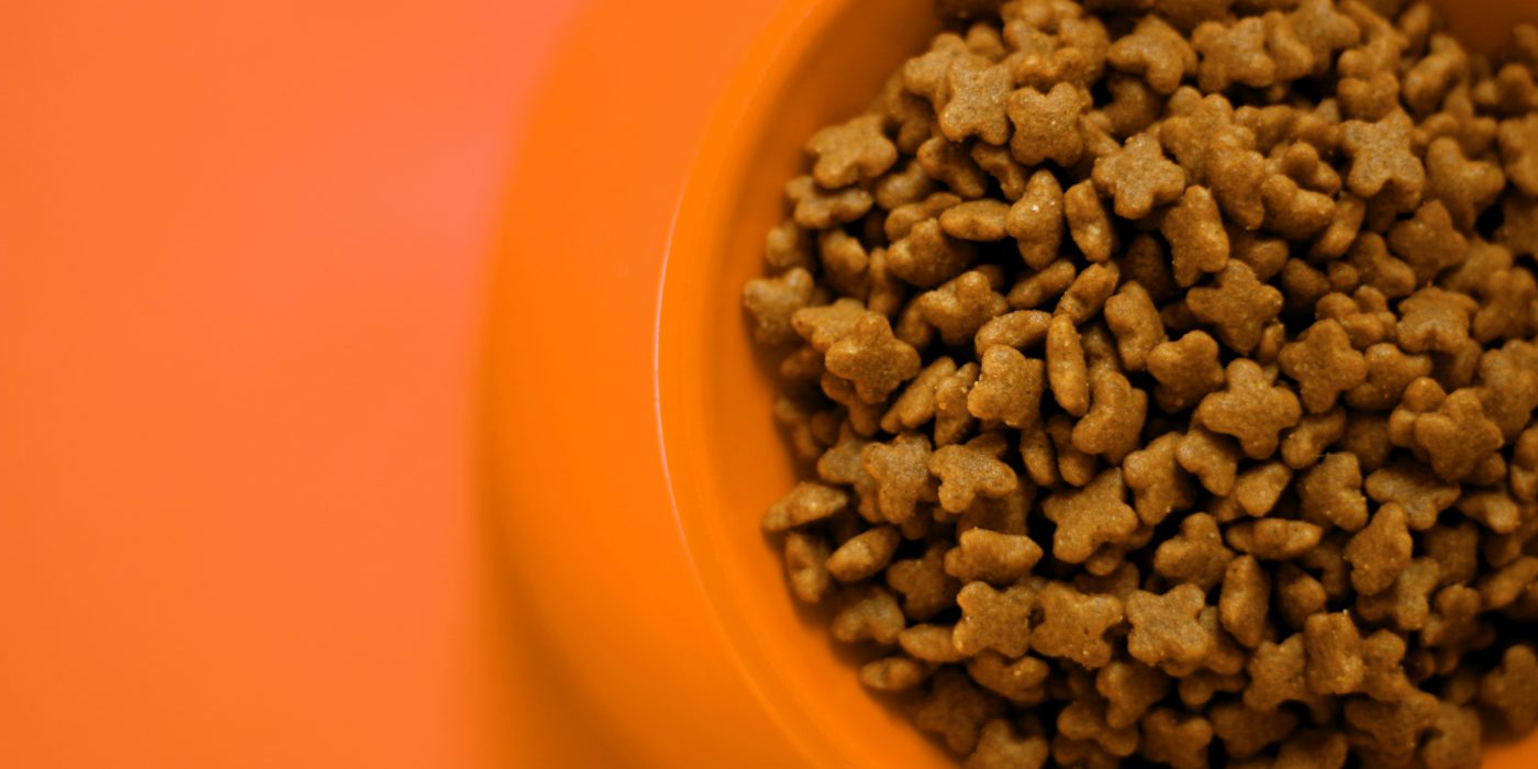 cat food