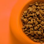 cat food