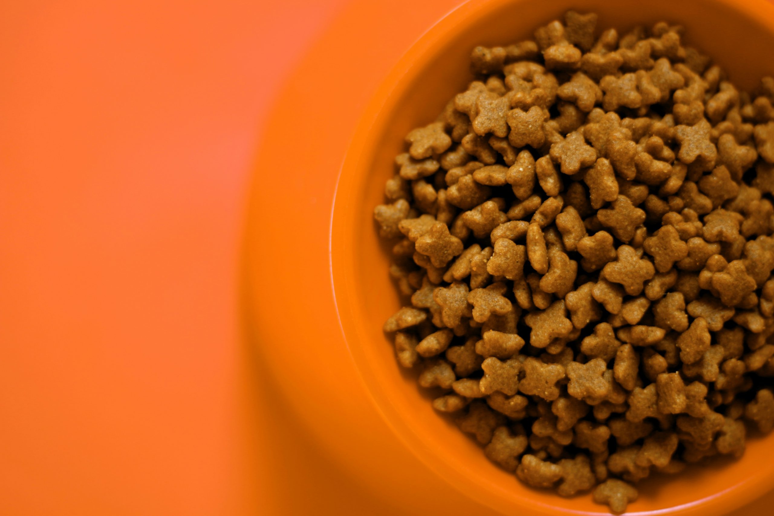 cat food